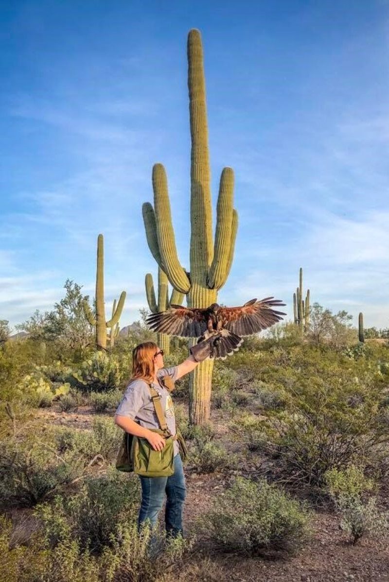 woman_holding_eagle_with_cactus